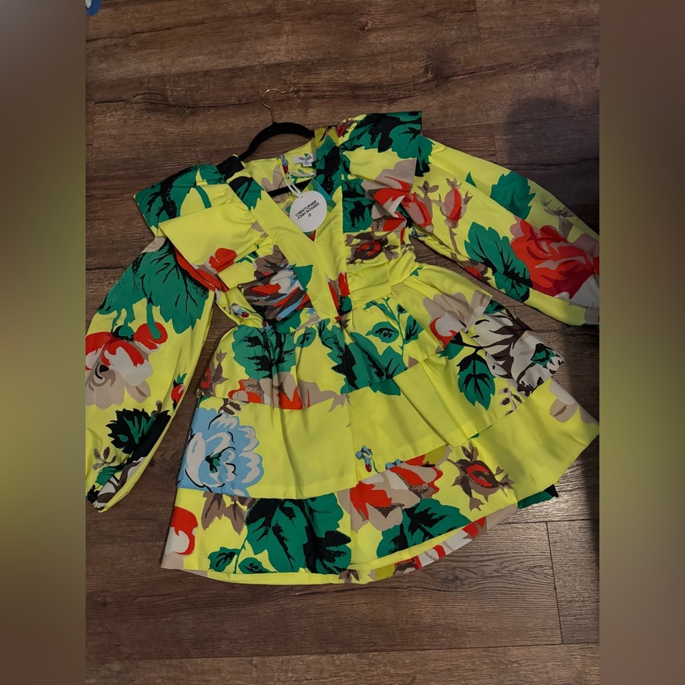 Christopher John Roger’s mini dress